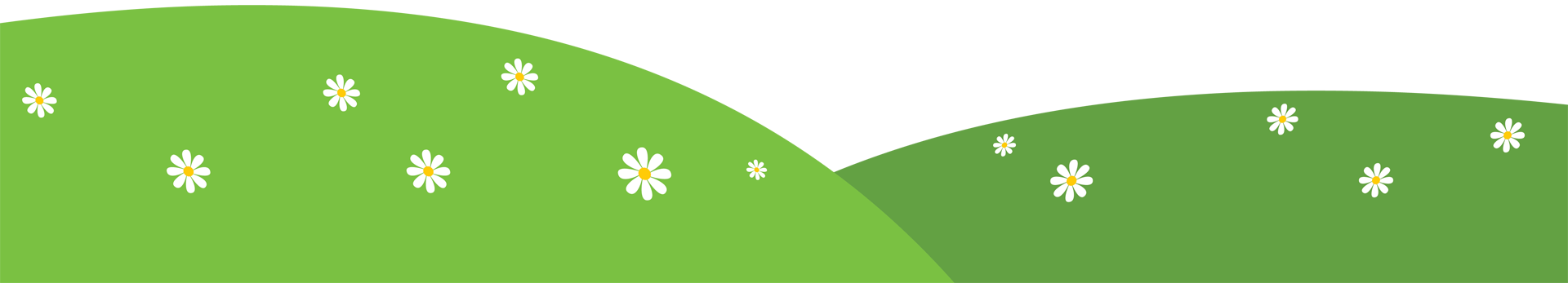 Image is not available